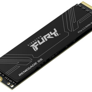 Kingston Fury Renegade 1To M.2 Gen5